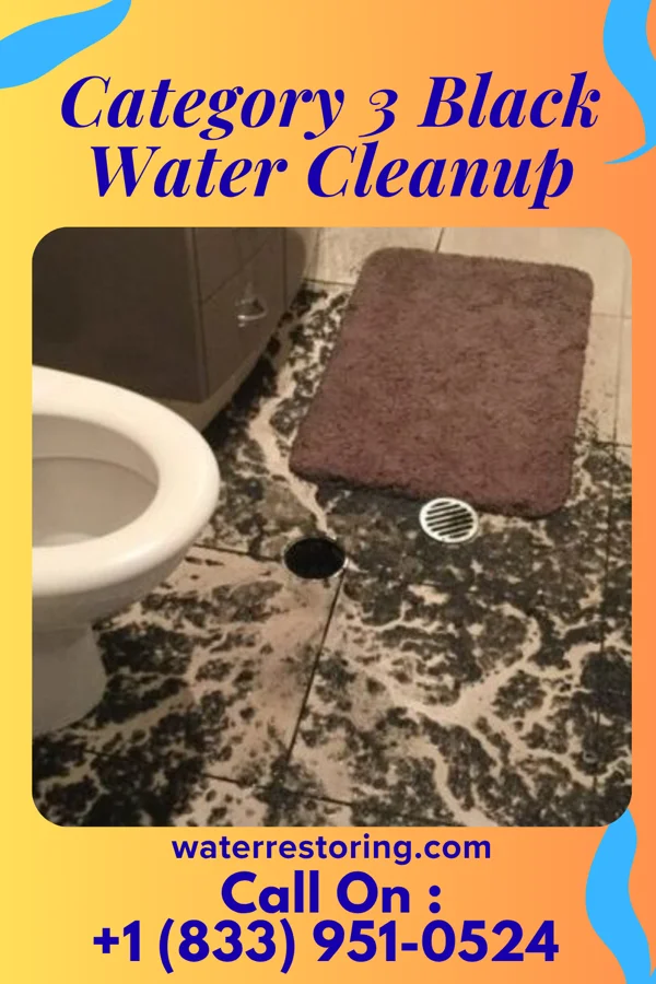 Category 3 Black Water Cleanup in Brooks, OR